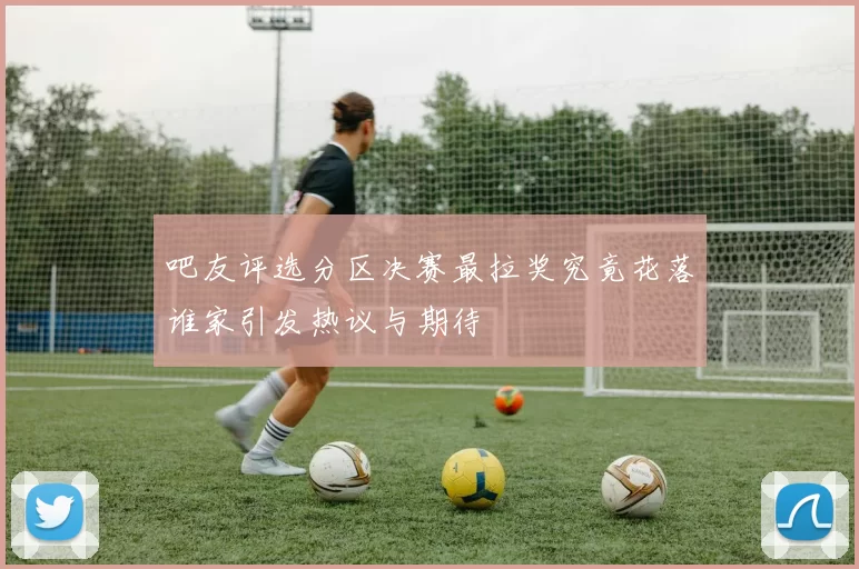 吧友评选分区决赛最拉奖究竟花落谁家引发热议与期待